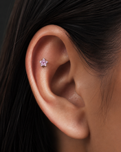 Load image into Gallery viewer, Hot Wife Charms 3-Piece Multicolor Star Ear Cartilage Stud Piercing Pack - Surgical Sterling Silver