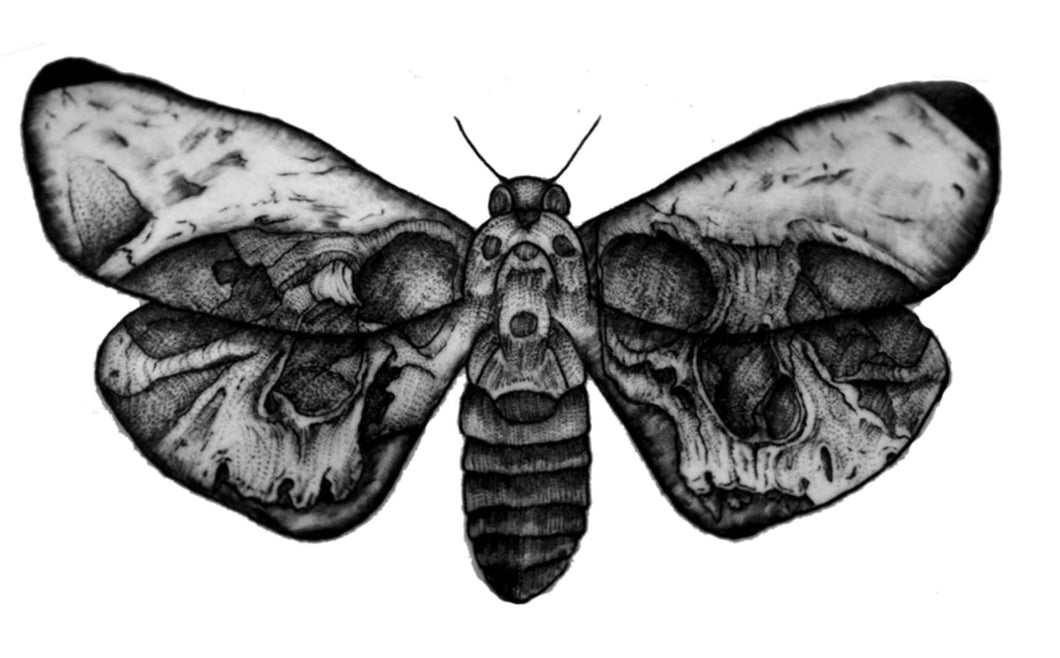 Moth Temporary Tattoo - HWC LLC