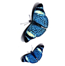 Load image into Gallery viewer, Butterly Temporary Tattoo - 2 - HWC LLC