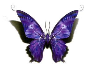 Butterfly Temporary Tattoo - HWC LLC
